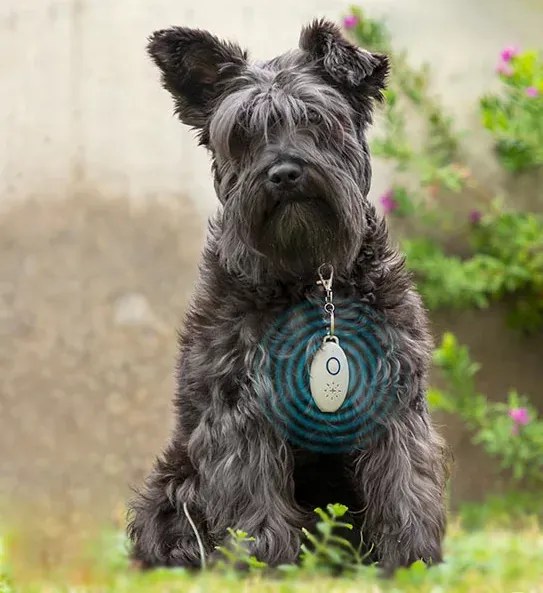 InnovaGoods Aparat împotriva paraziților, reîncărcabil cu ultrasunete pentru animale de companie PetRep - Innova