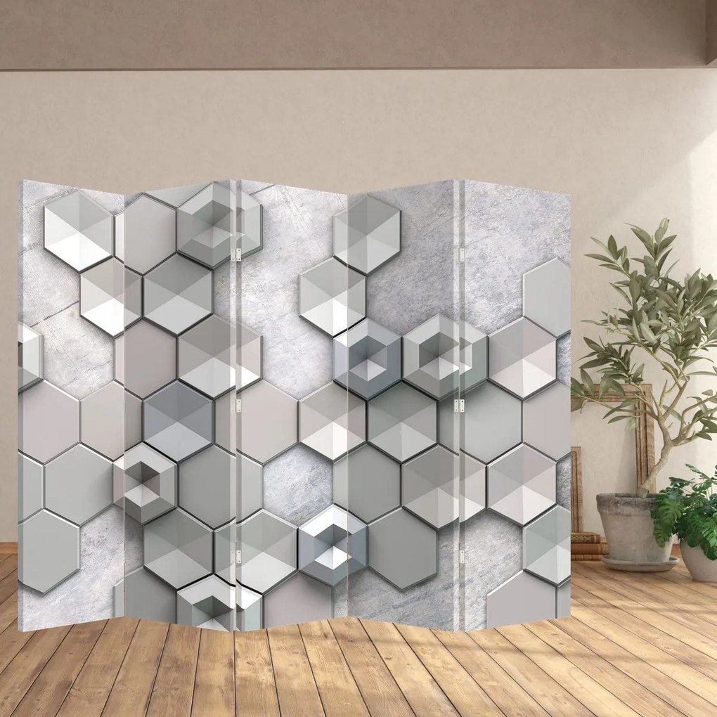 Paravan - Abstracție 3D (210x170 cm)