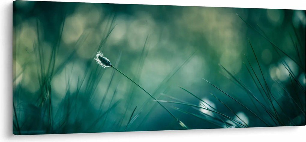 Tablou - Detaliu iarbă (120x50 cm)