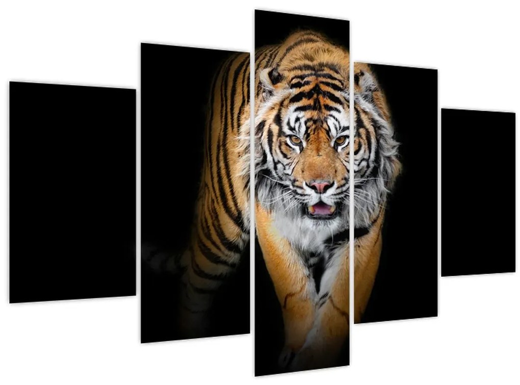 Tablou - Tiger (150x105 cm)