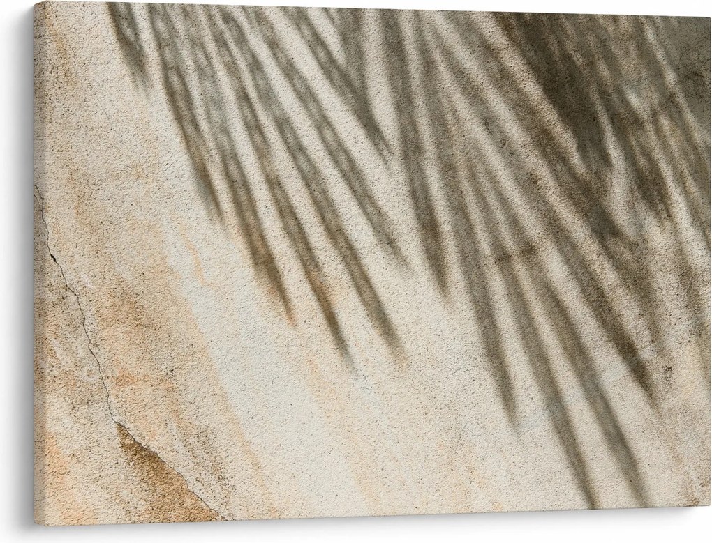 Tablou - Umbre (70x50 cm)
