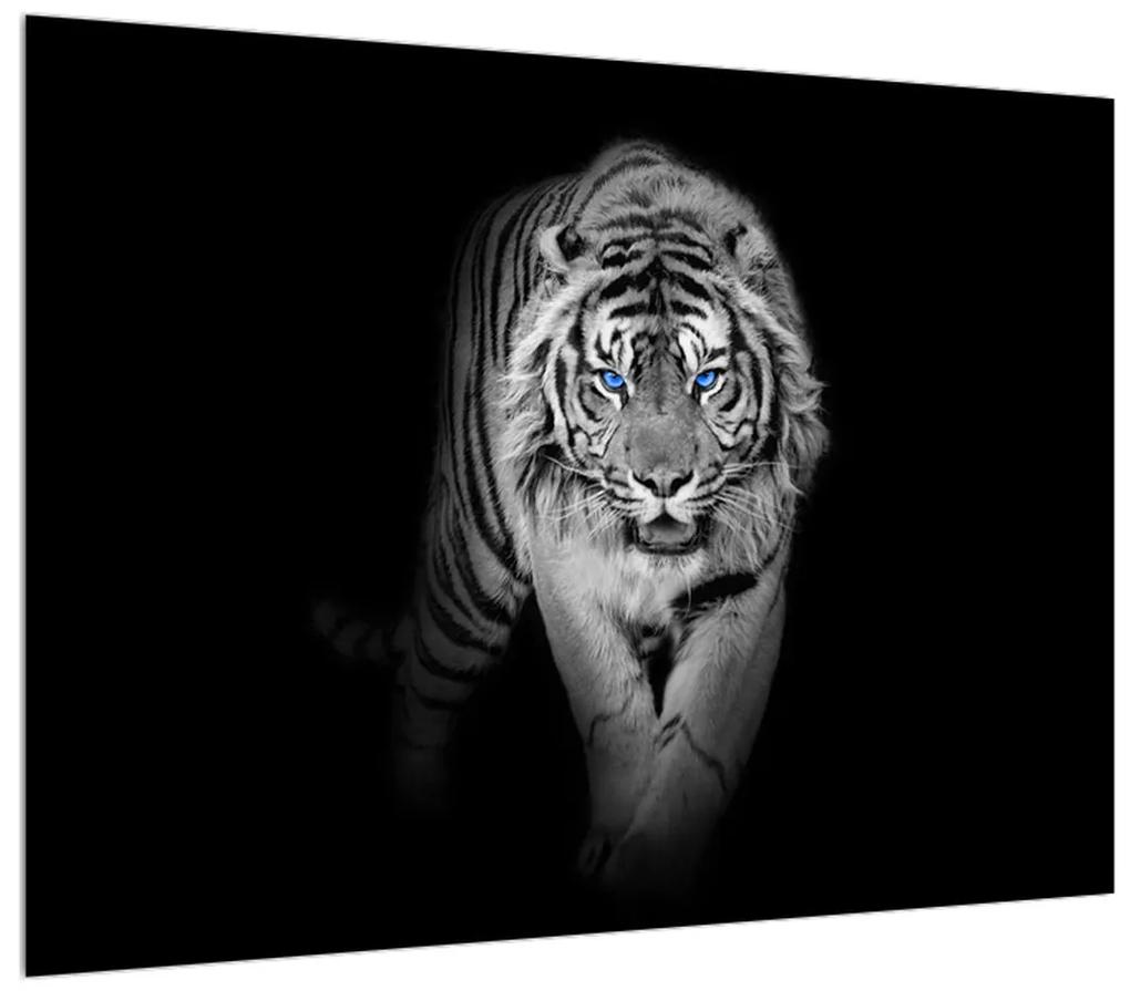 Tablou cu tigru (70x50 cm), în 40 de alte dimensiuni noi