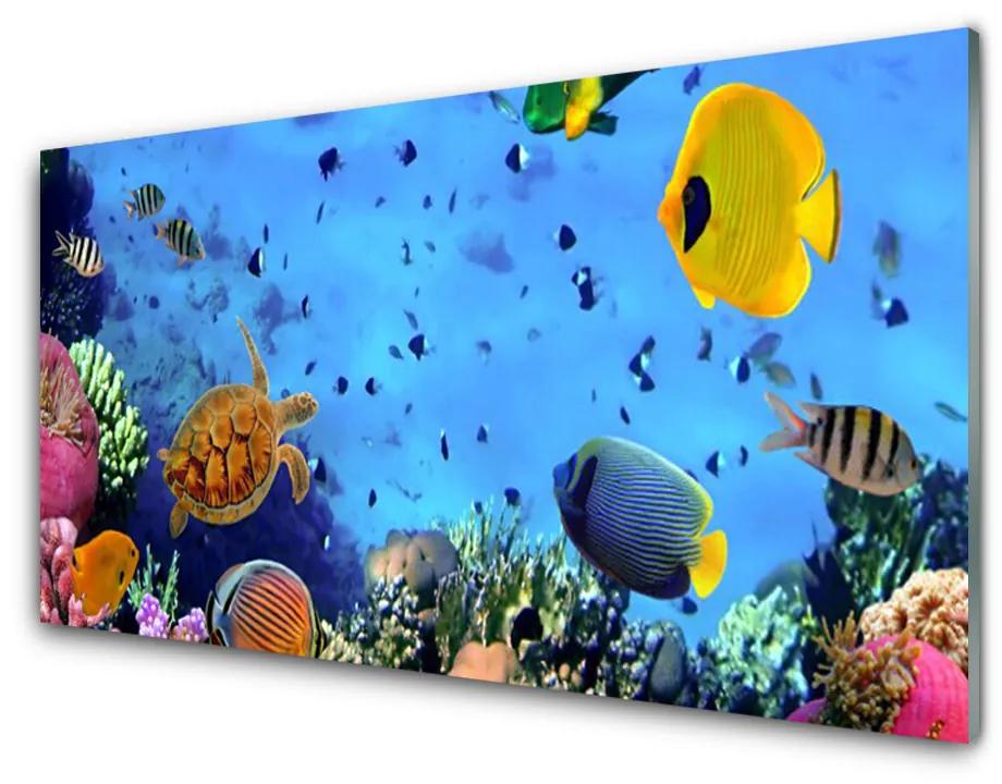 Tablou pe sticla Coral Reef subacvatice de pește Natura Albastru Galben Multi
