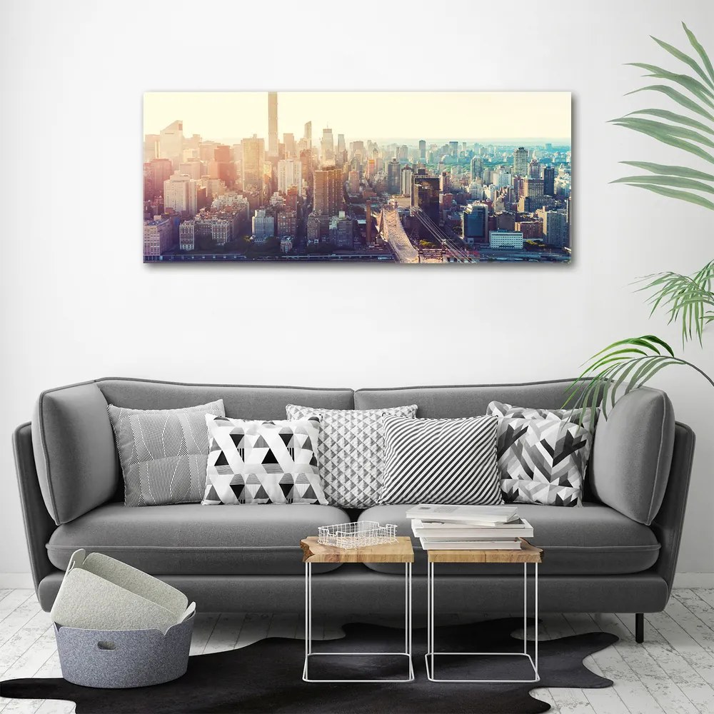 Imprimare tablou canvas New york pasăre de zbor