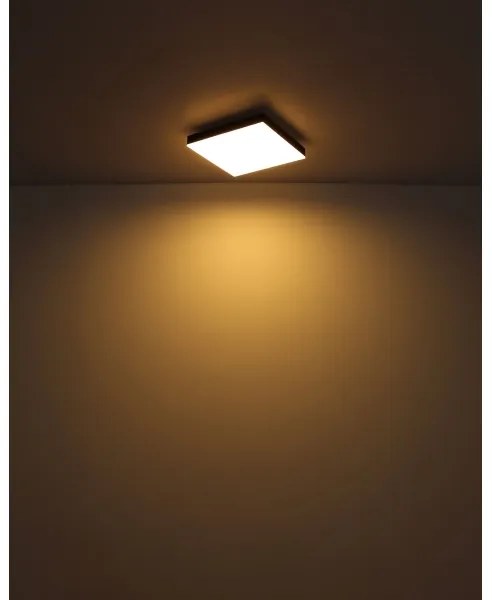 Plafonieră LED dimabilă DORO LED/24W/230V negru Globo 41594D2 + telecomandă