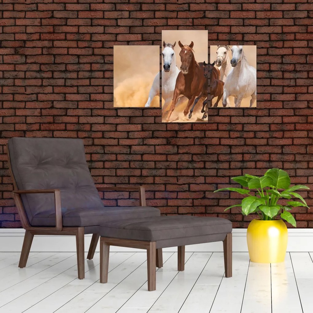 Tablou - Herghelie de cai (90x60 cm)