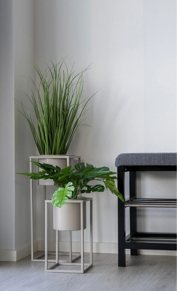 Monstera Minselia 2 (verde). Promo -10%. 1147174