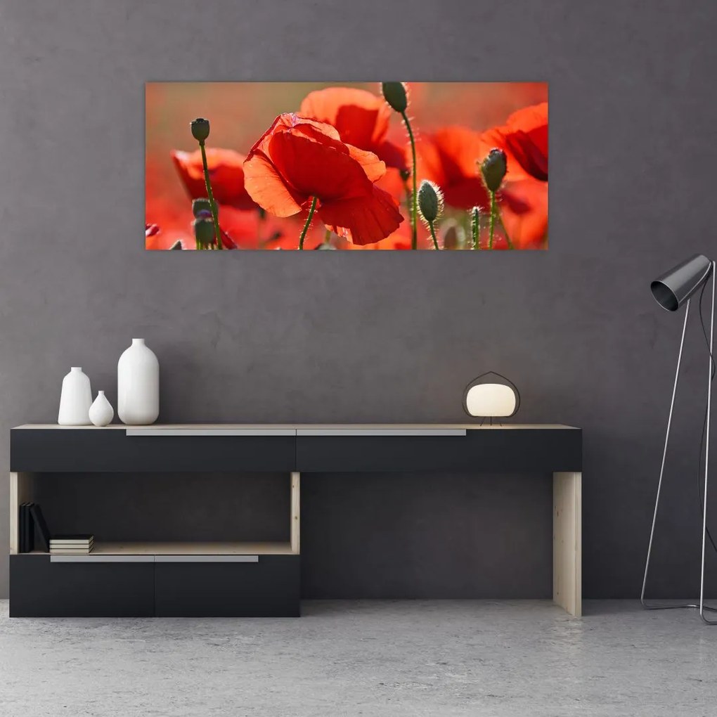 Tablou cu flori de maci (120x50 cm)
