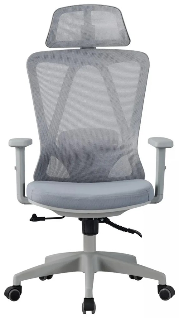 Scaun ergonomic, suport lombar reglabil, tetiera reglabila, cotiera 2D, reglare pe inaltime, mecanism inclinare/blocare in 3 pozitii, pivotant, Mesh, Gri
