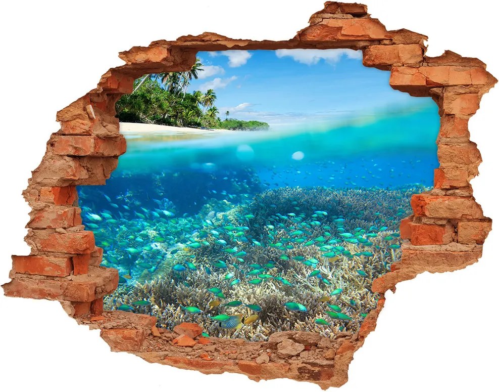 Fototapet un zid spart cu priveliște Recif de corali