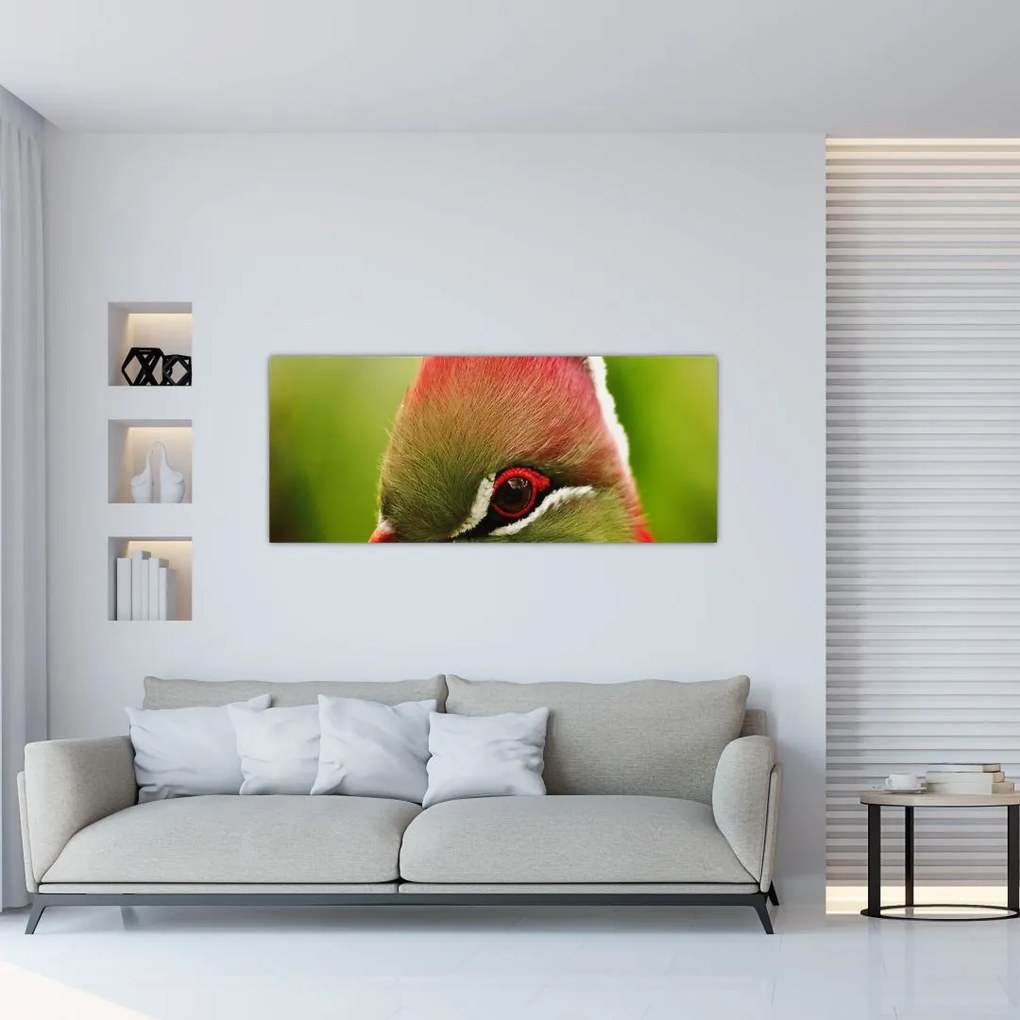 Tablou cu pasărea colorată (120x50 cm)