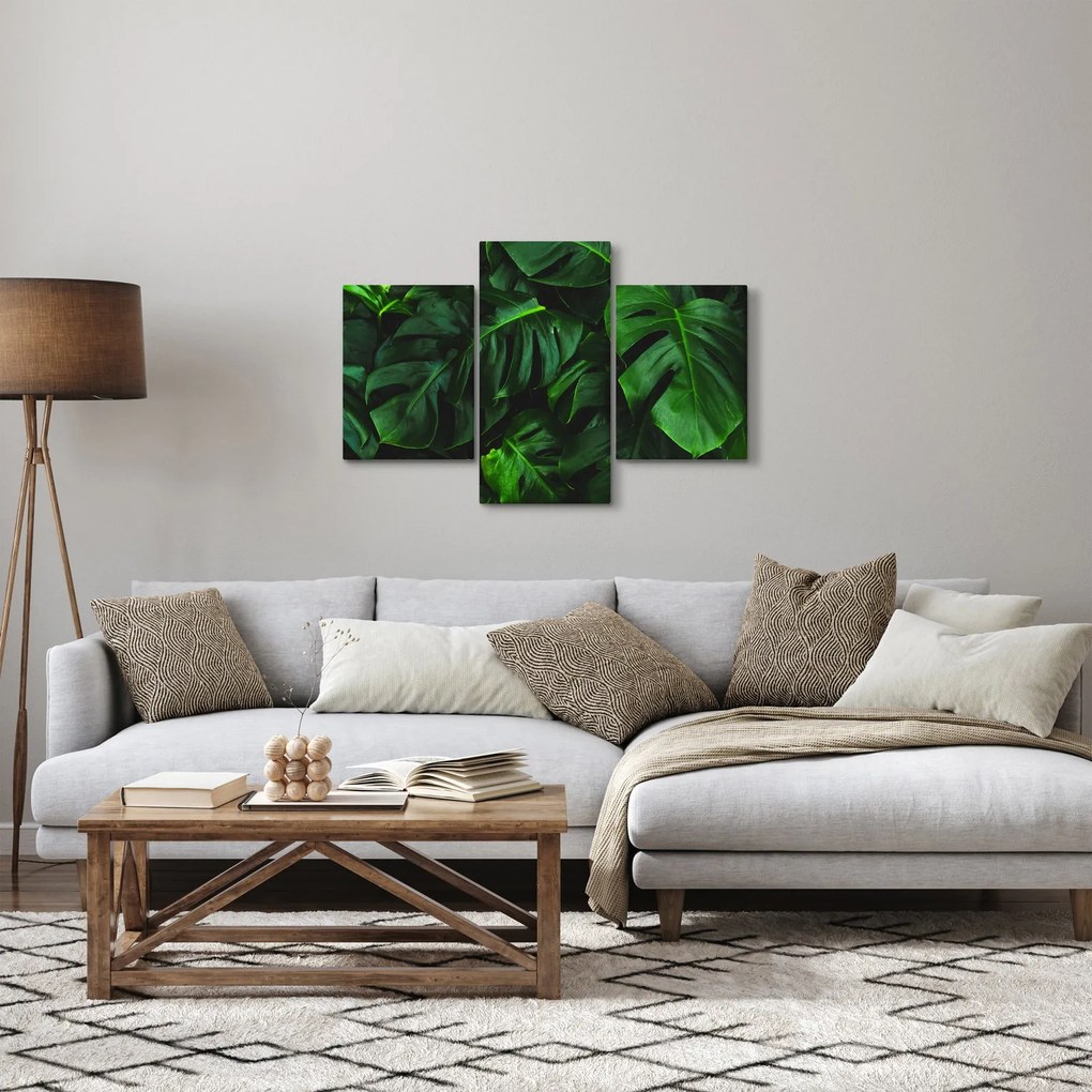Tablou cu frunze Monstery (90x60 cm)