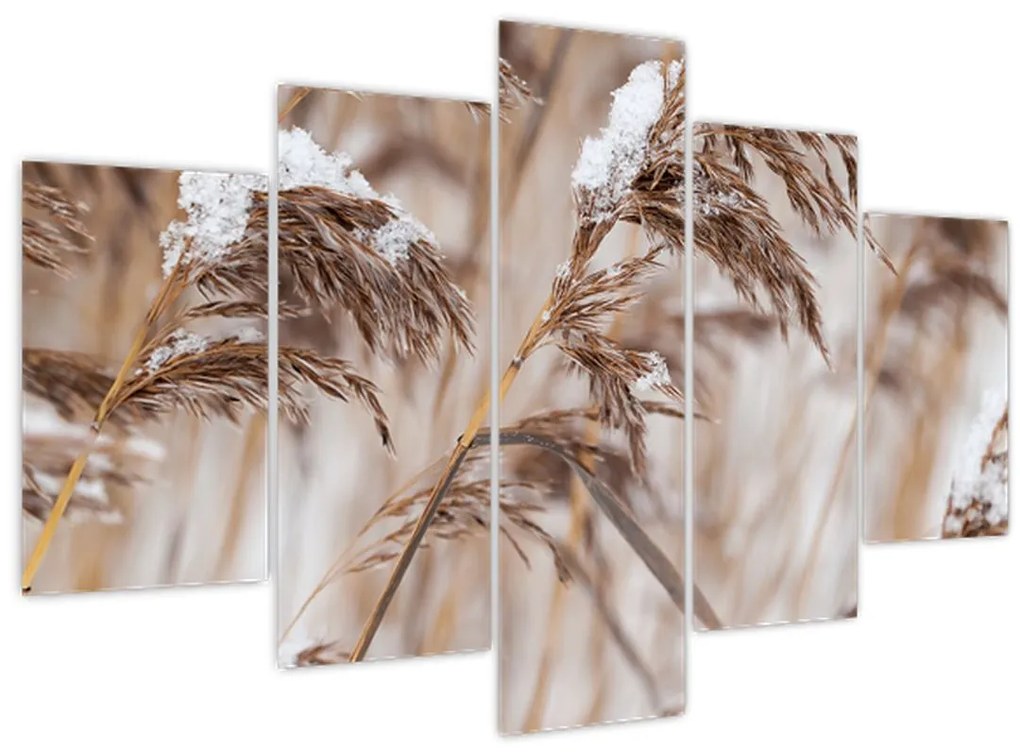 Tablou - Tei (150x105 cm)