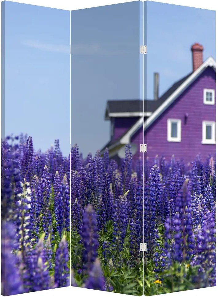 Paravan - Câmp de lavanda (126x170 cm)