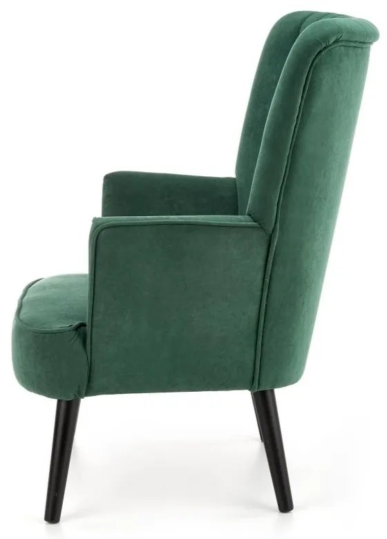 Fotoliu Delgado, verde/negru