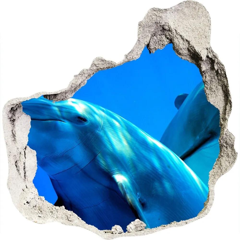Autocolant autoadeziv gaură Doi delfini
