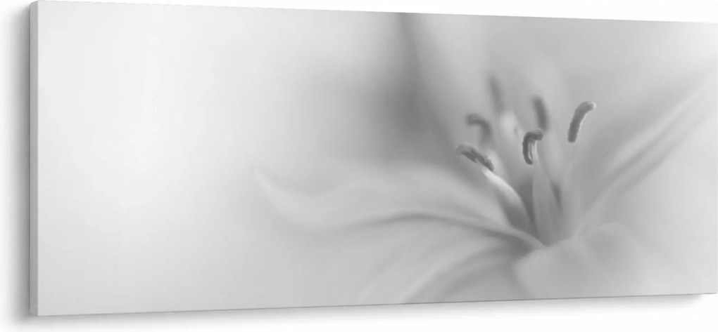 Tablou - Crin delicat (120x50 cm)