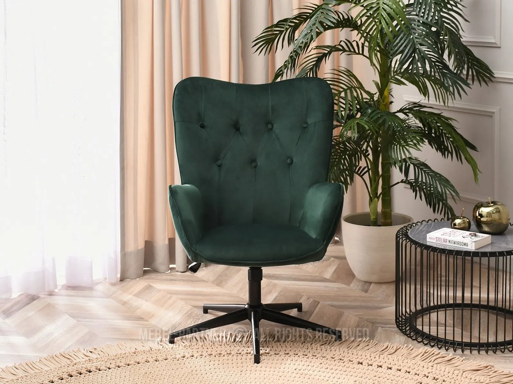Fotoliu Truni (verde + negru). 1110429