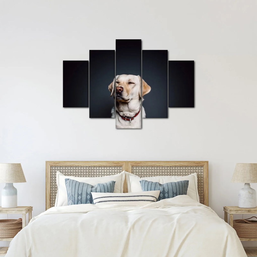 Tablou cu labrador (150x105 cm)