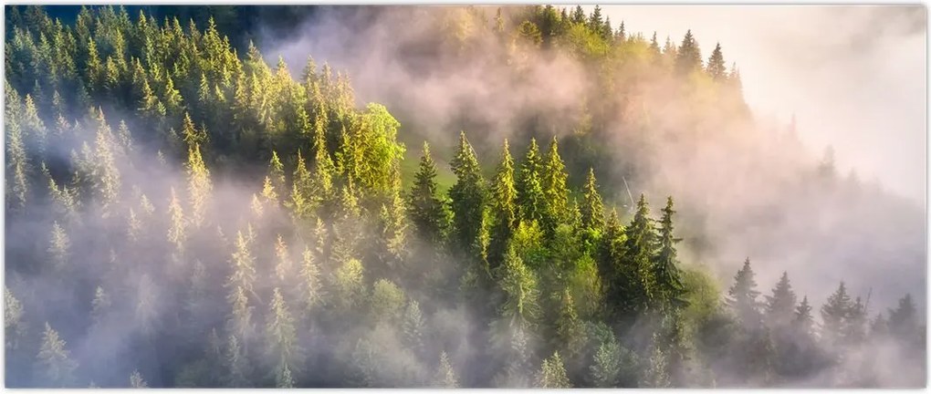 Tablou peisajului montan (120x50 cm)