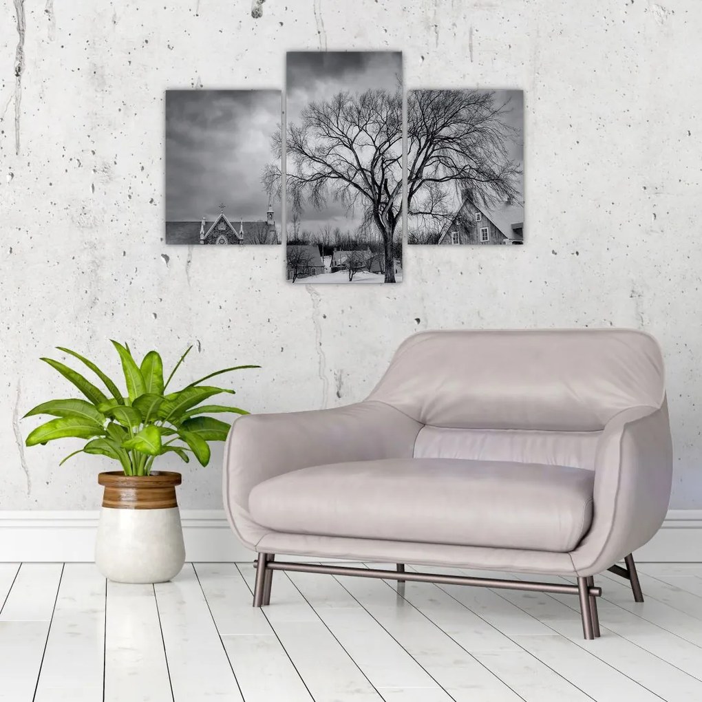 Tablou cu sat alb negru (90x60 cm)