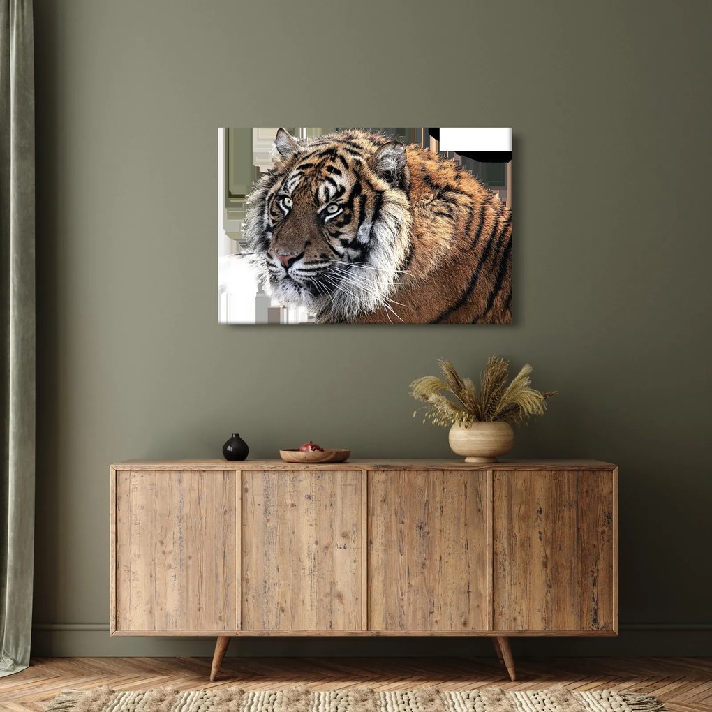 Tablou cu tigrul (90x60 cm)