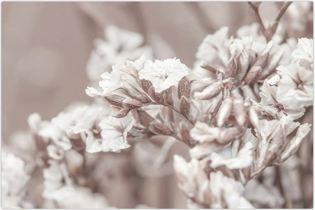 Tablou - Detaliu crenguță (90x60 cm)