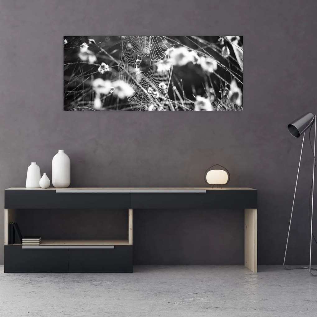 Tablou - Pânza de păianjen în pajiște (120x50 cm)