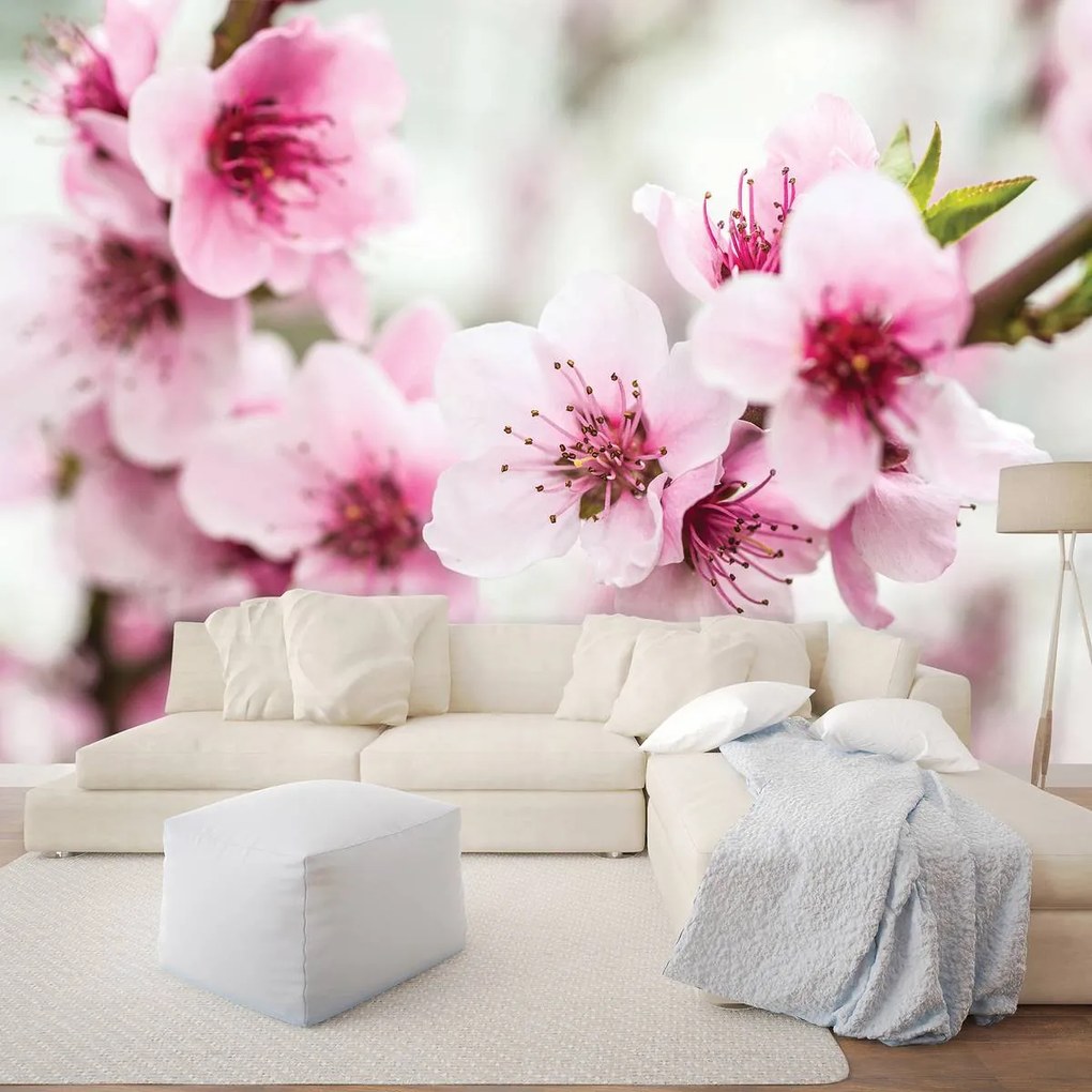 Fototapet - Flori (152,5x104 cm)