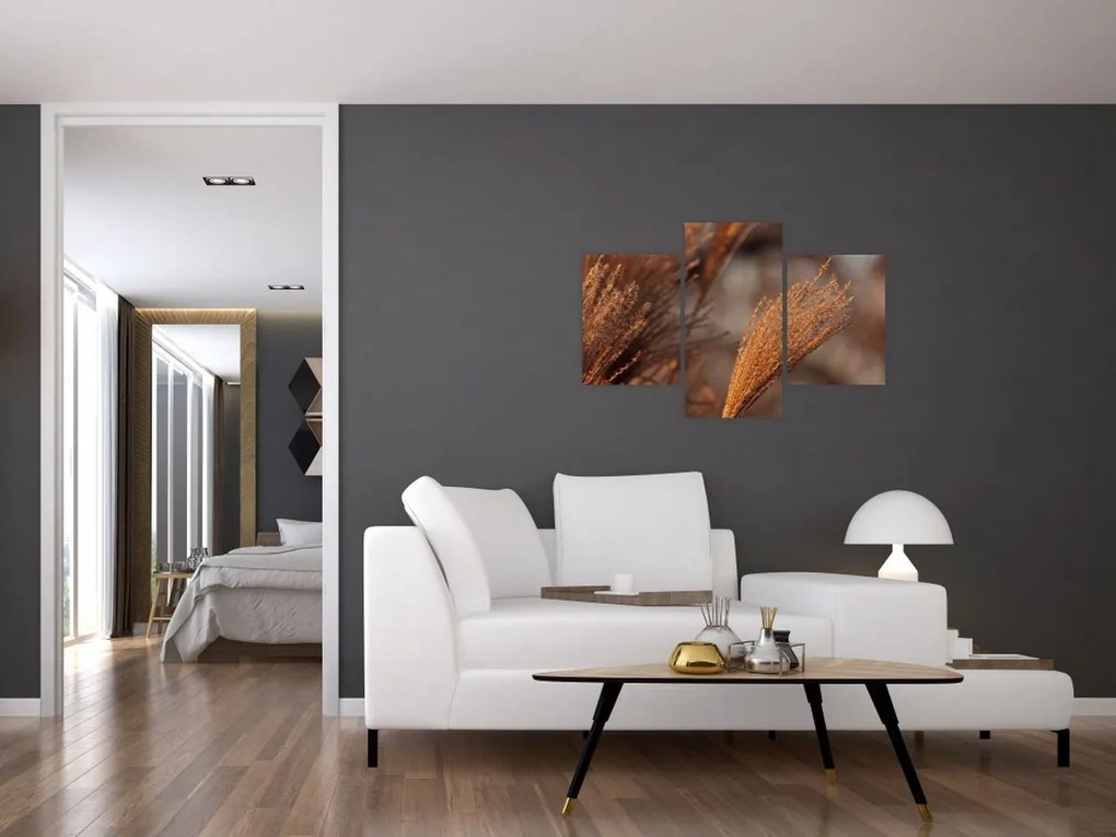 Tablou - Cortaderie (90x60 cm)