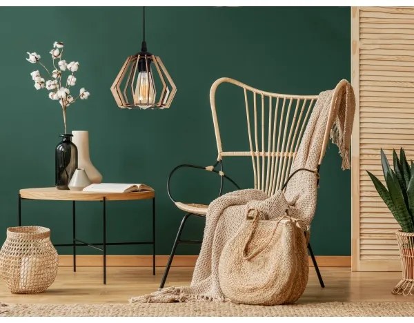 Lustră pe cablu BERGO 1xE27/60W/230V neagră