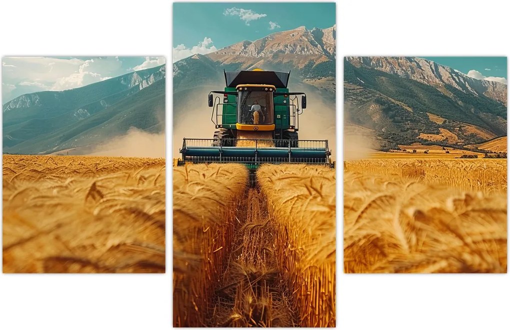 Tablou - Zemedelec (90x60 cm)