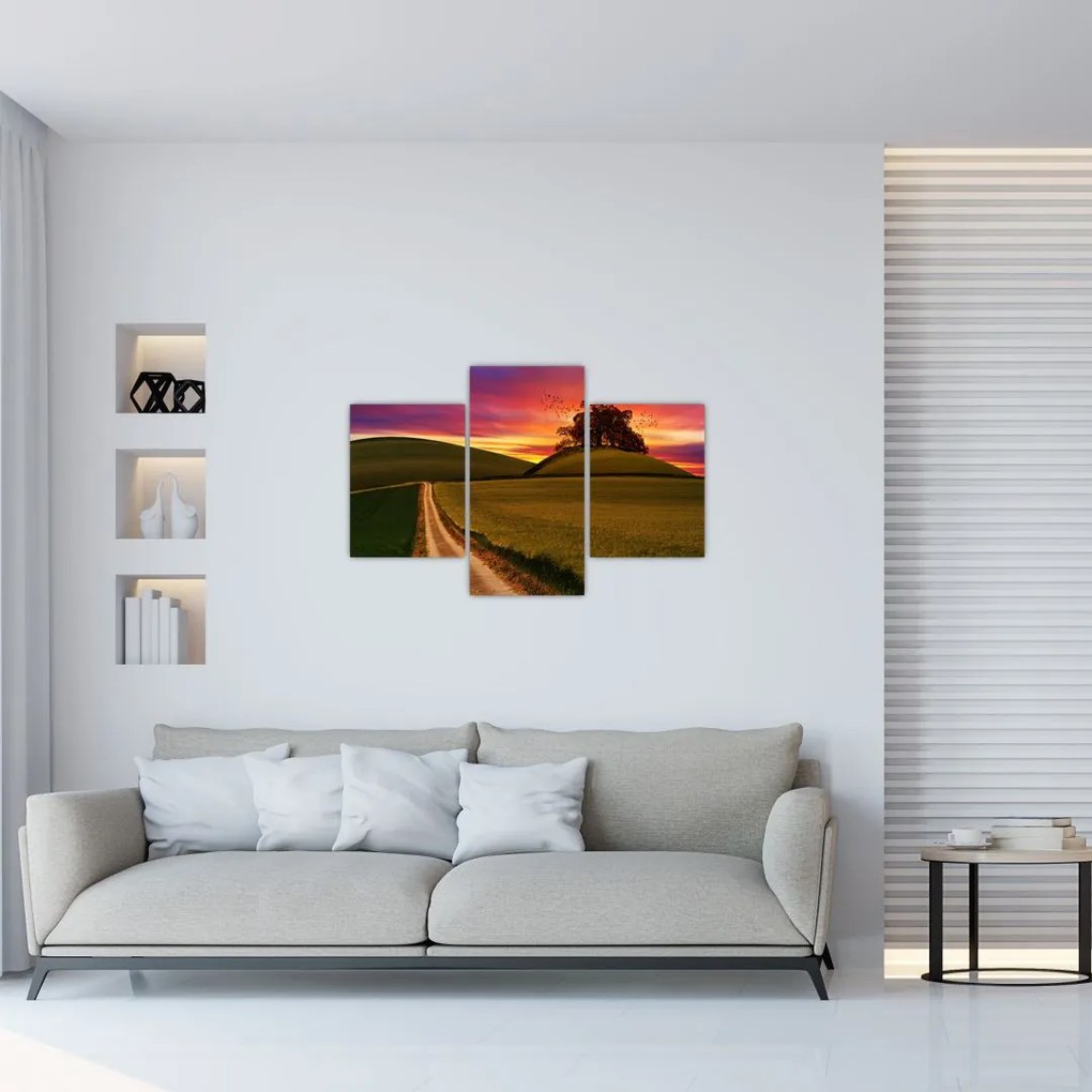 Tablou câmpului cu apus de soare (90x60 cm)
