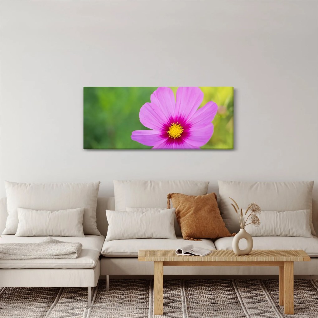 Tablou - floare de câmp (120x50 cm)