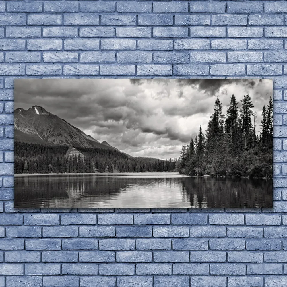Tablou pe panza canvas Mountain Forest Lake Nature Gray