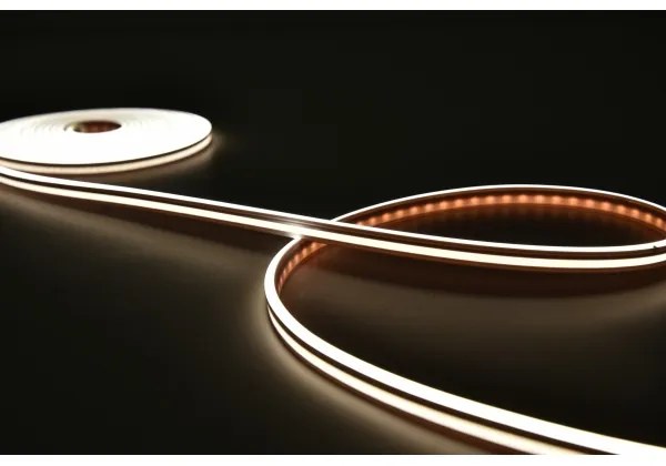 Rabalux 79021 - Bandă LED RGBW dimabilă STRIP LED/21W/230V 5 m IP67 + DO