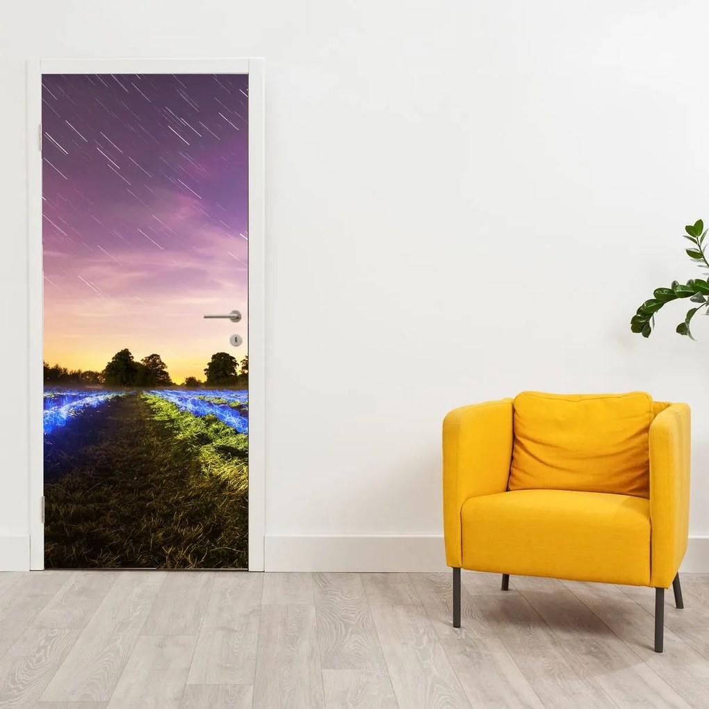 Fototapet pentru ușă - Câmp colorat (95x205cm)