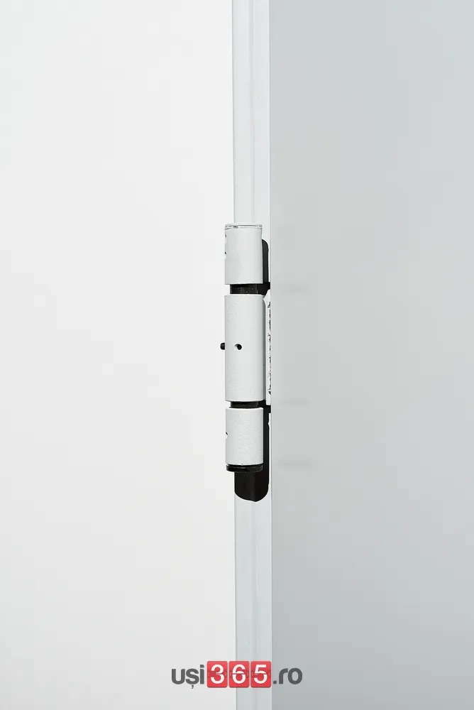 Usa Antifoc Dubla EI60 120 - 2 Canaturi - Rezistenta la foc 60 120 min - Montaj Interior RAL 7016, 1500(900+600), 2050, 120