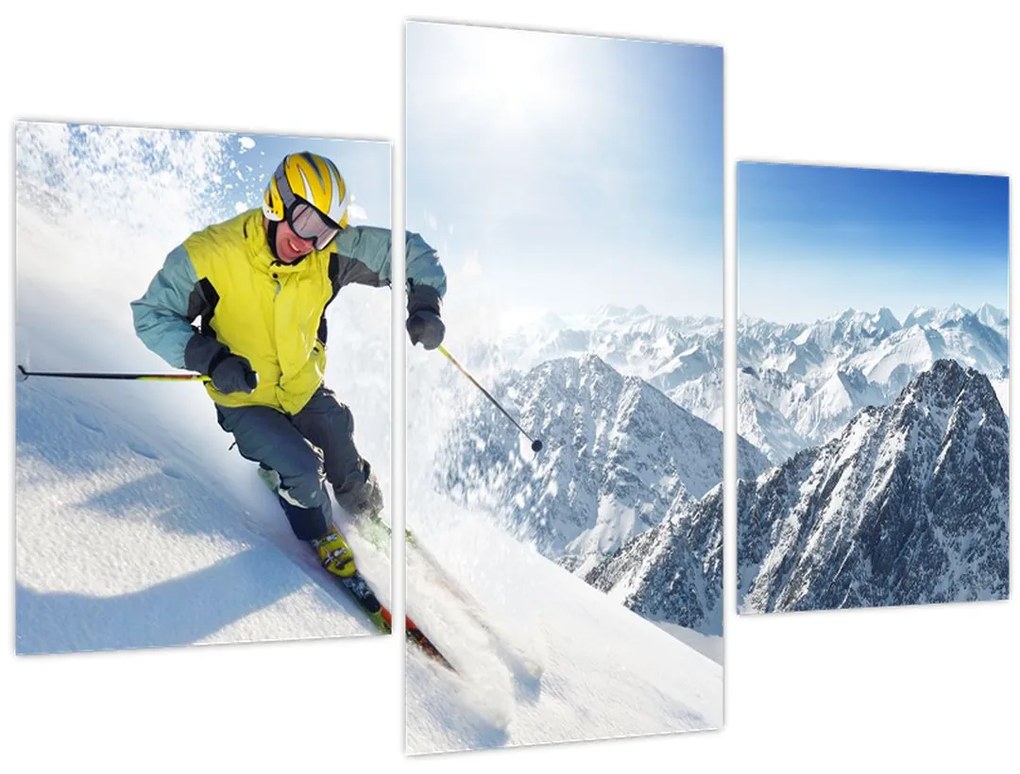 Tablou - Schior (90x60 cm)