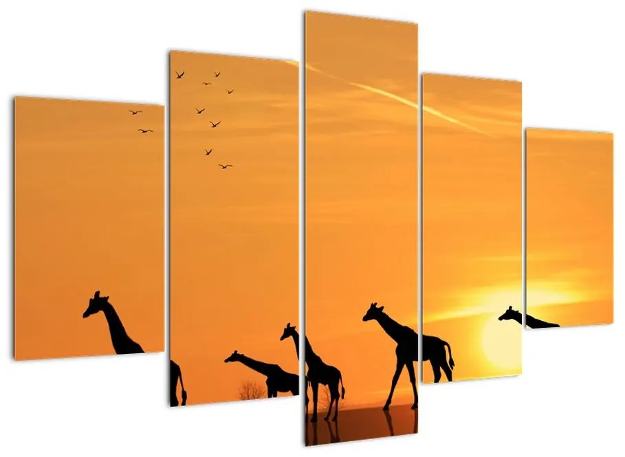 Tablou modern - girafe (150x105cm)