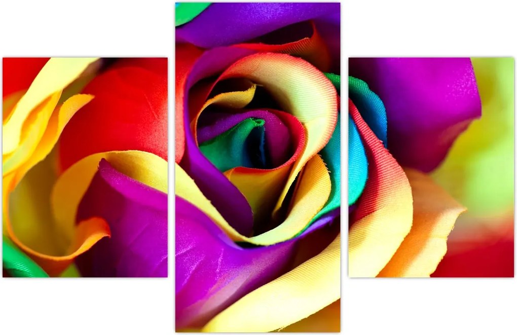 Tablou - Trandafir colorat (90x60 cm)