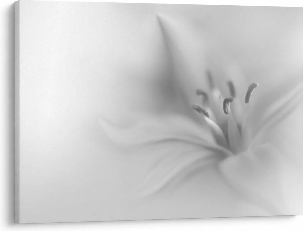 Tablou - Crin delicat (70x50 cm)
