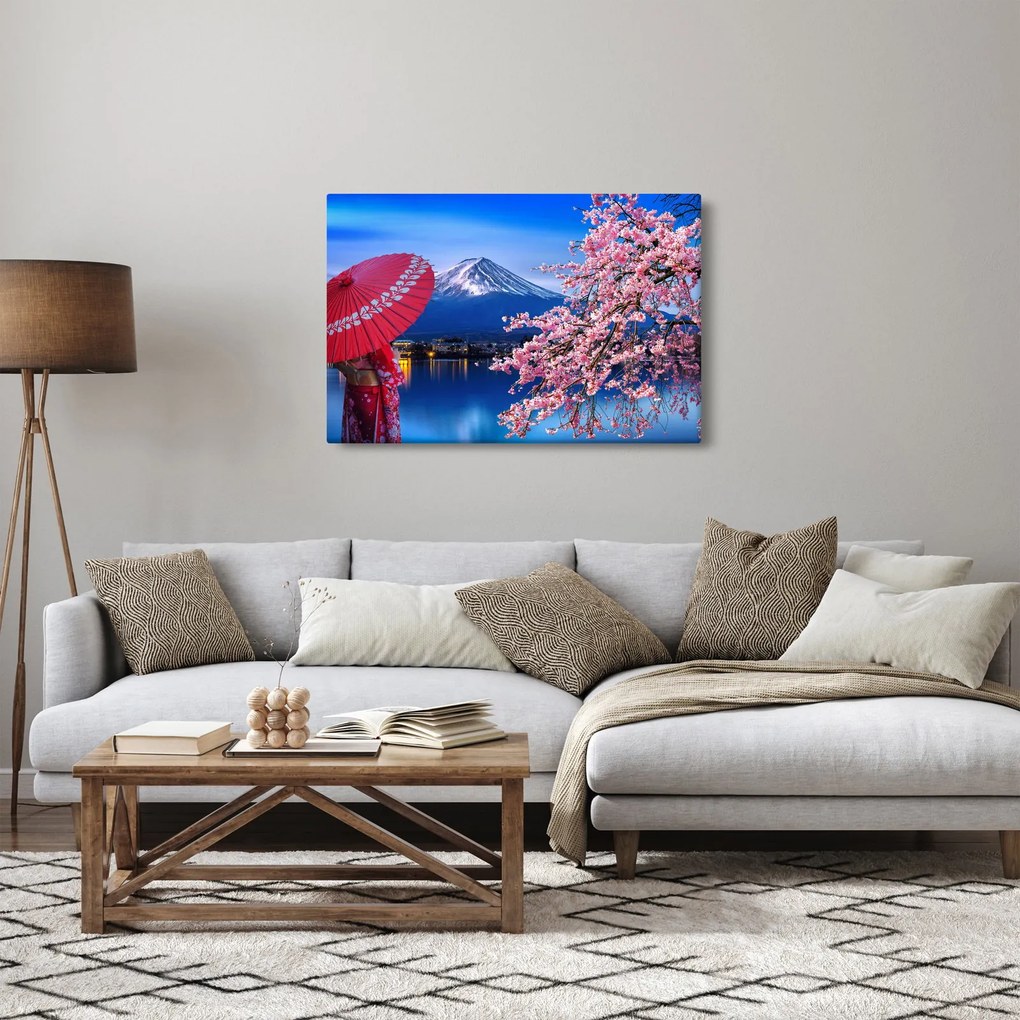 Tablou - cu privire la munte - Japonia (90x60 cm)