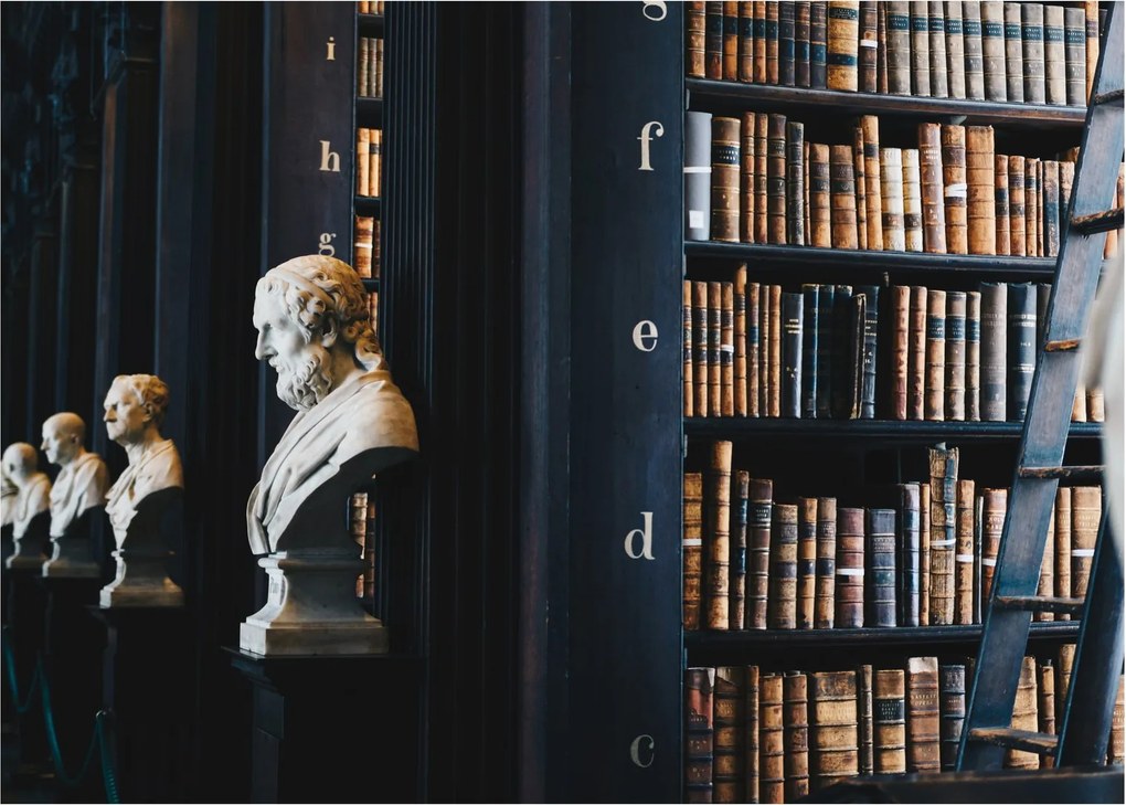Tablou - La bibliotecă (70x50 cm)