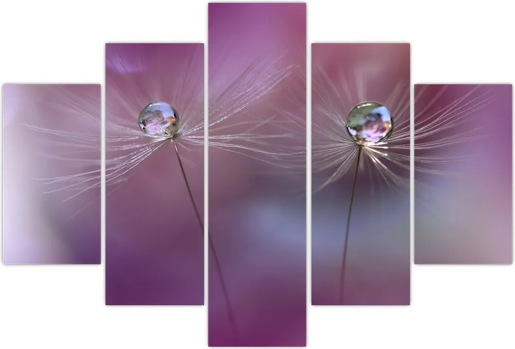 Tablou cu picături pe puf (150x105 cm)