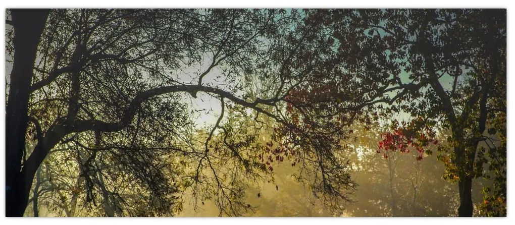 Tablou cu răsărit de soare (120x50 cm)
