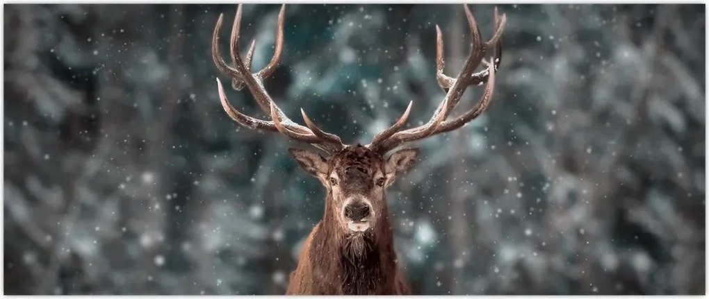 Tablou - Cerbul majestic (120x50 cm)