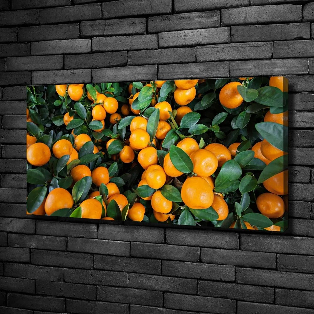 Tablouri tipărite pe pânză Mandarine