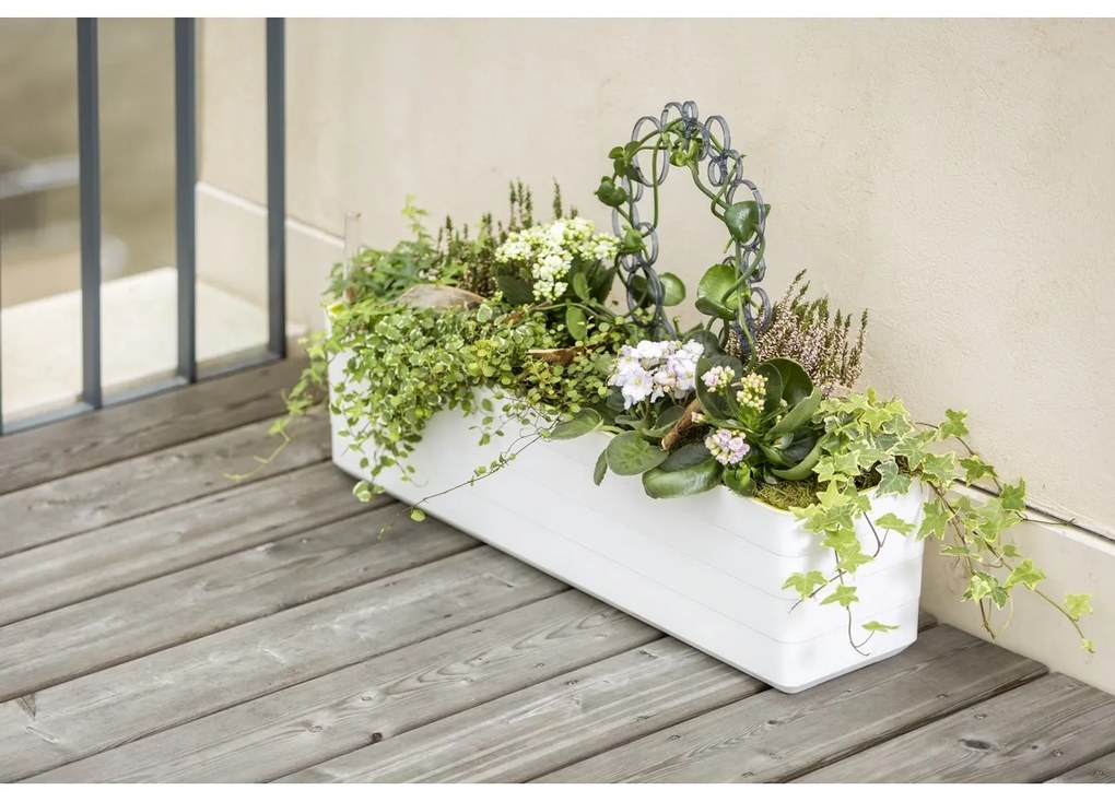 Ghiveci cu auto-irigare Plastia Berberis 60, alb +verde, 60 cm