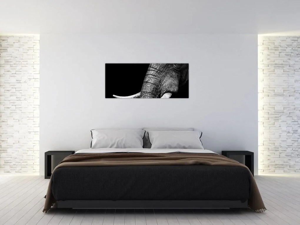Tablou - Colți de elefant (120x50 cm)